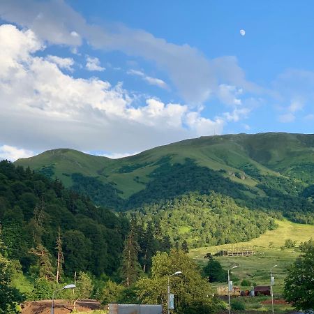 Bakuriani The Valley 115 - 202 Dış mekan fotoğraf